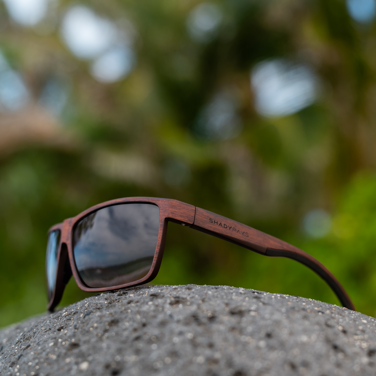 Cayman - Amber Woods Polarized