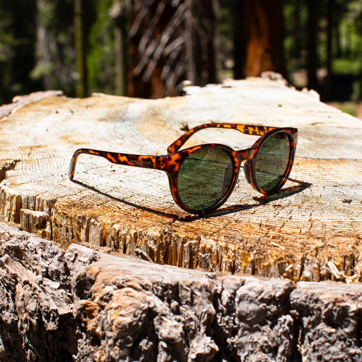 Sequoia - Tortoise Polarized