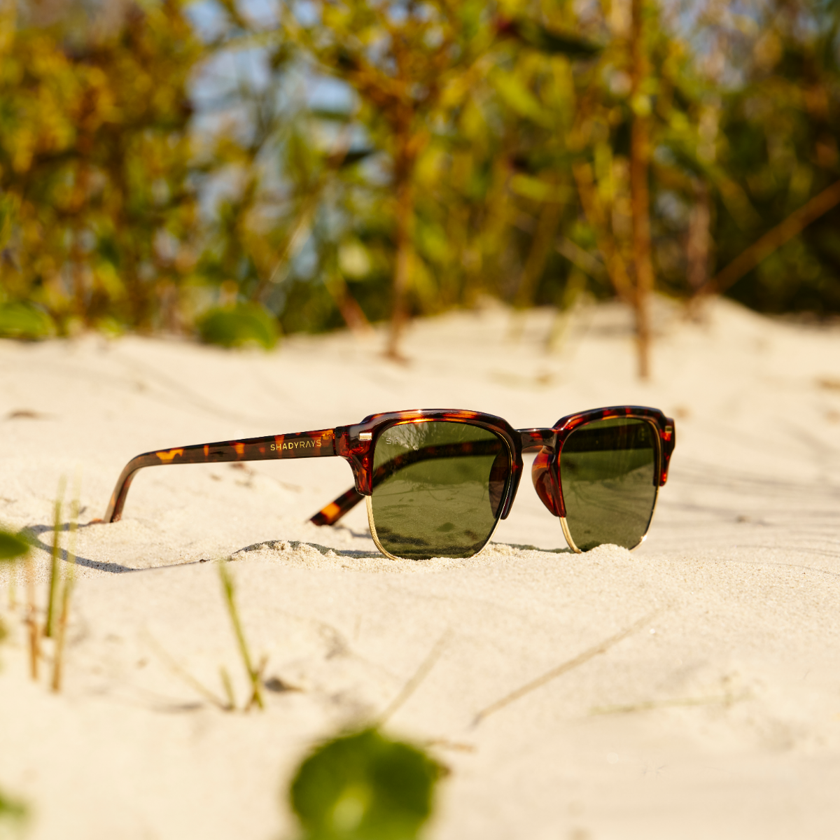 Kingbrook - Tortoise Green Polarized