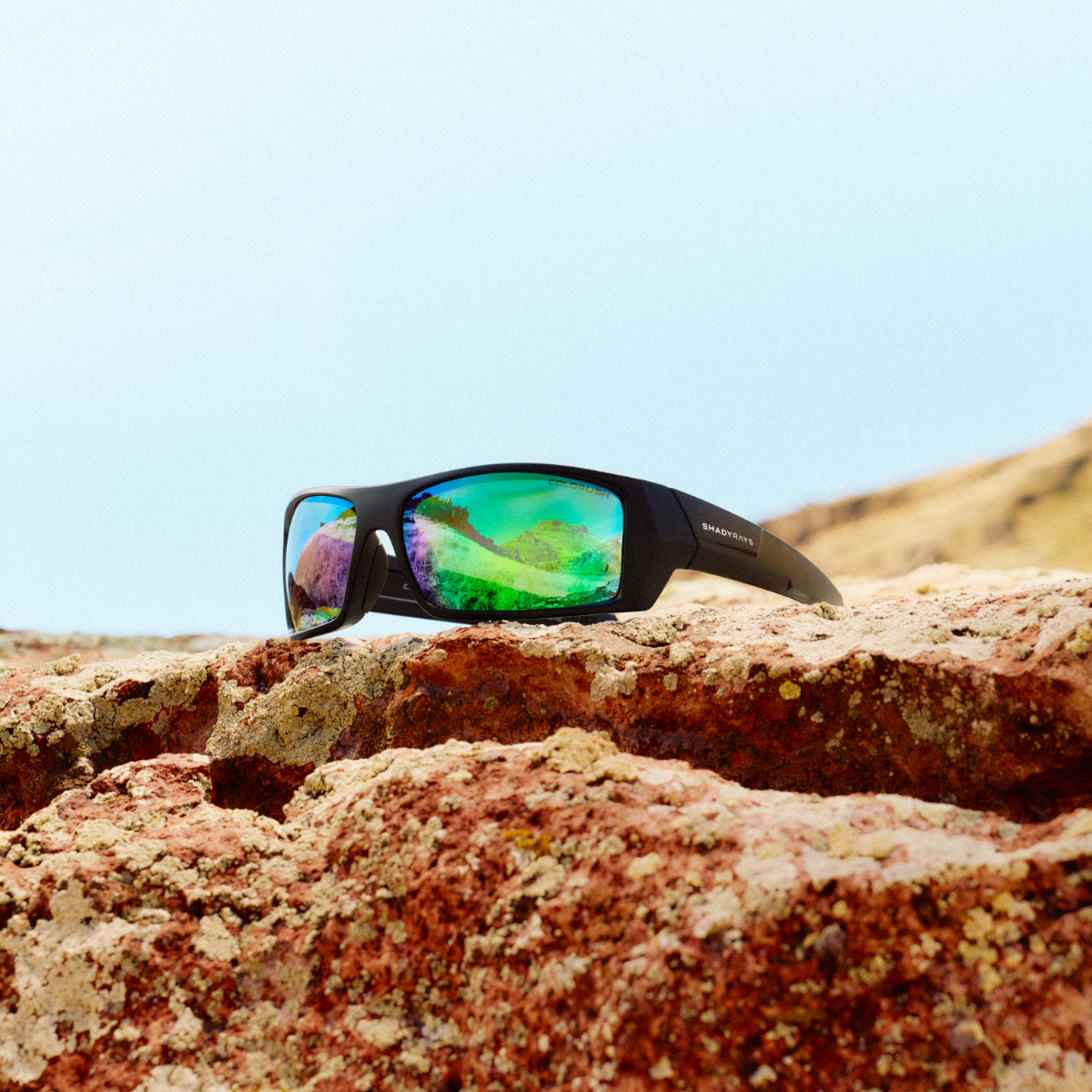 Reign - Black Emerald Polarized